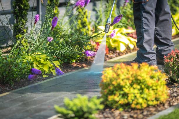 Trusted Newhall, IA Pressure Washing Services Experts