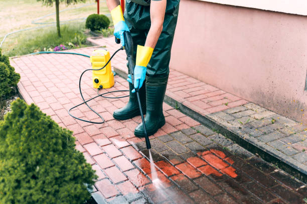 Best Fence Cleaning and Maintenance in Newhall, IA